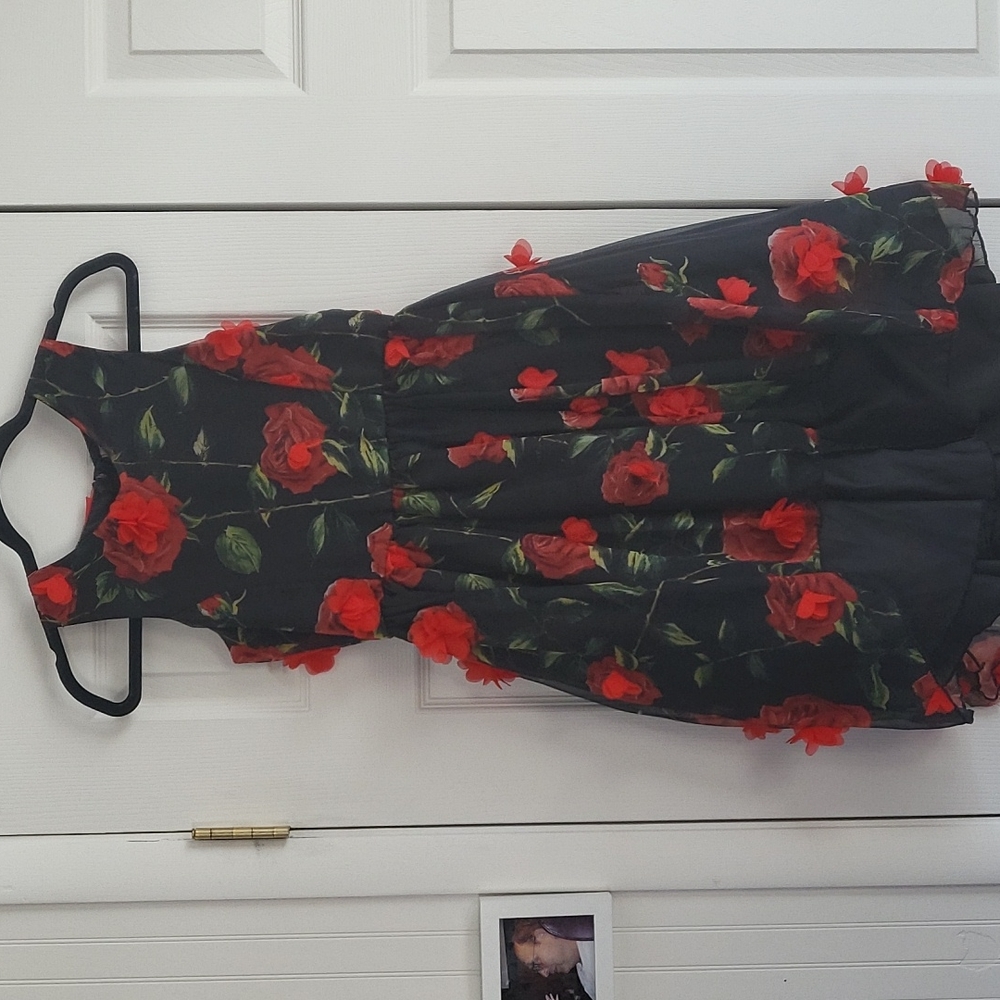 Nanette Lepore Red and Black Dress